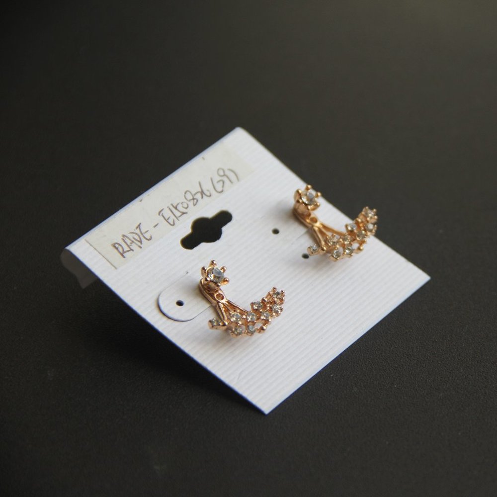 Exquisite earrings